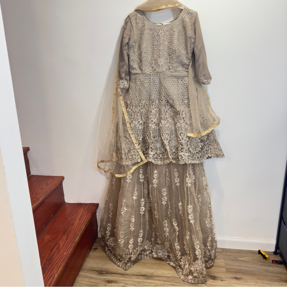 Gorgeous Indian party dress